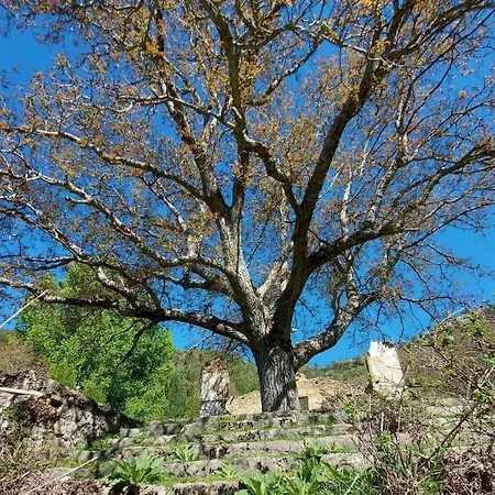Villa Forastera Arroyo Frio Buitenkant foto