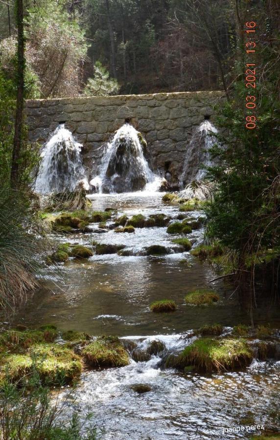Forastera Arroyo Frio