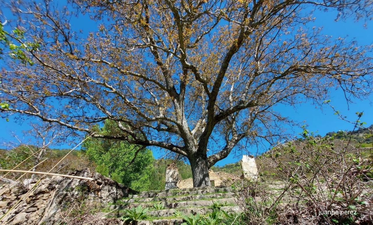 Country house Forastera Arroyo Frio